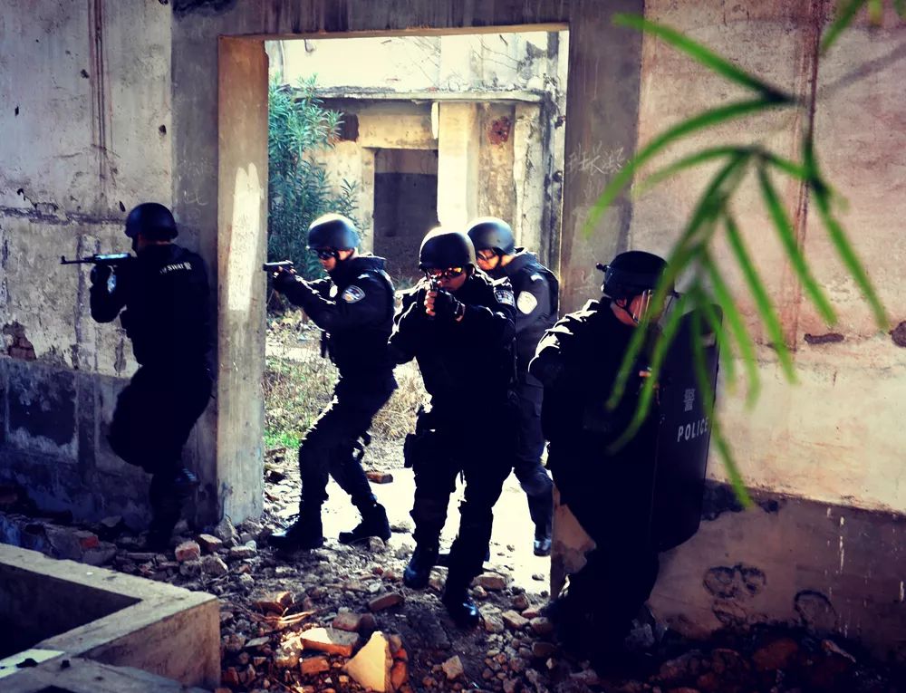 巡特警大练兵实战视频,上海金山分局特警冬季大练兵