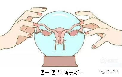 辅助多囊卵巢患者受孕的中成药 (治疗多囊卵巢综合症的中成药)