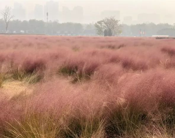 月底前就开通!先收藏这波西安地铁四号线逛吃攻略!