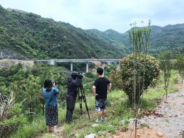 浙江苍南小镇在哪里,苍南旅游小镇亮相