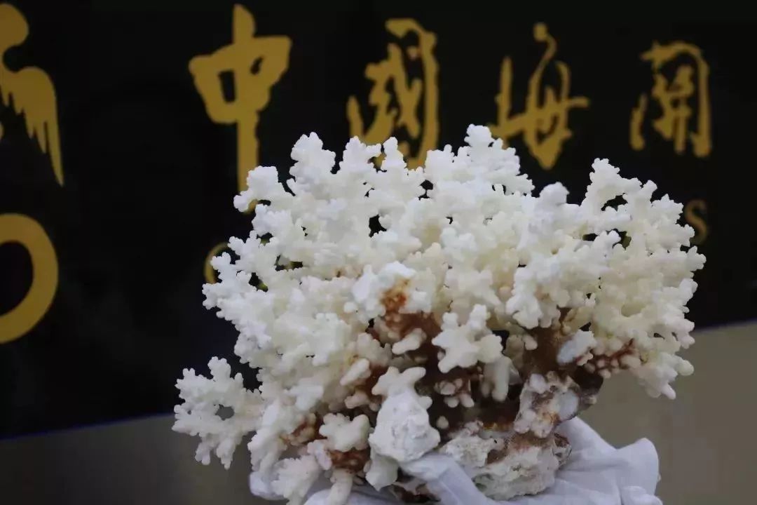 去港澳旅游禁带什么物品,去港澳不能带什么东西