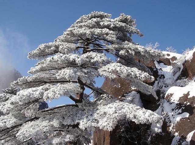 初春到哪里旅游好玩,9-10月国内赏秋小众线路
