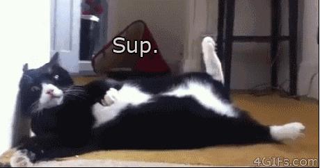 还用“howareyou”问候？外国人可不是这么说的！