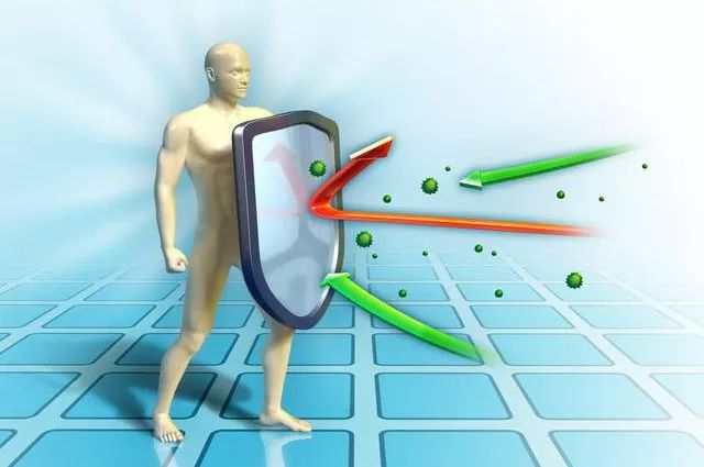 冰点还原导致电脑一直重启,冰点还原重启后软件不在了