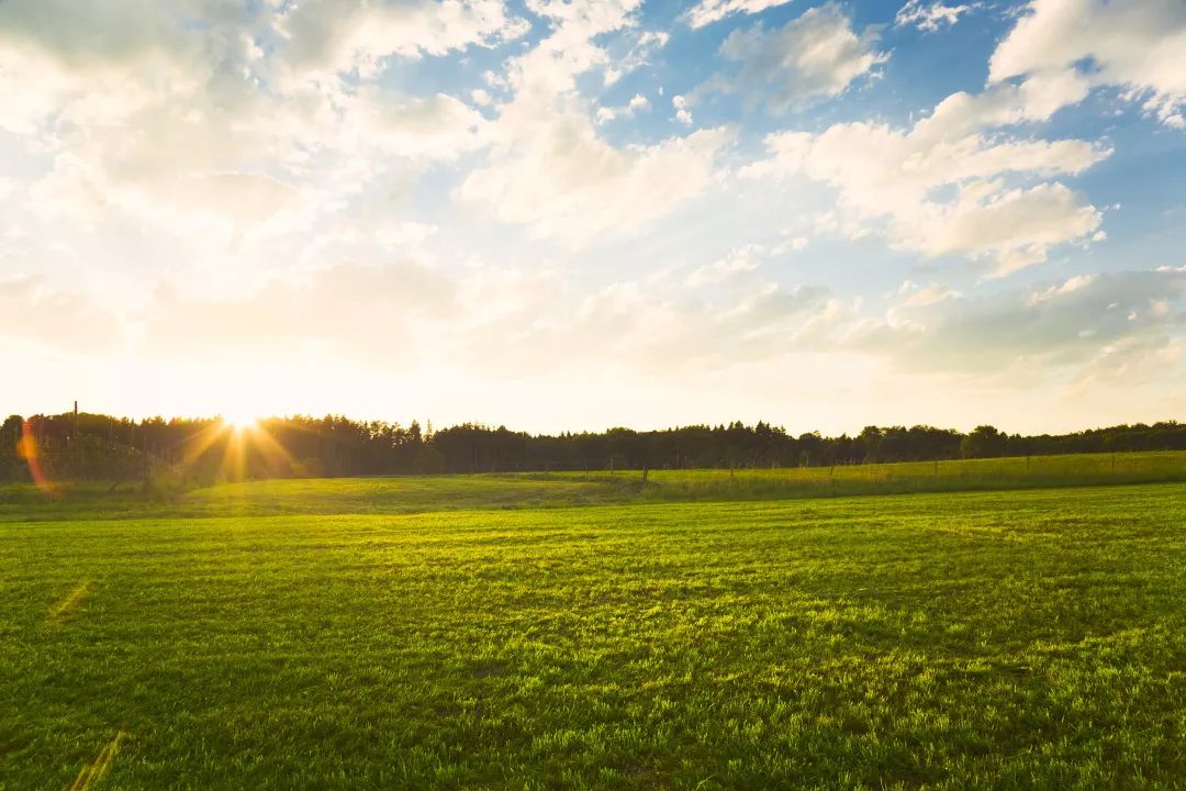 真诚待人相信好运一定会来,真诚善良积极乐观好运自然来