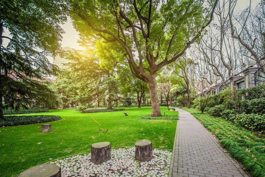 真诚待人相信好运一定会来,真诚善良积极乐观好运自然来