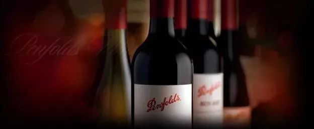 奔富真酒与假酒的销量,奔富酒为什么卖得好