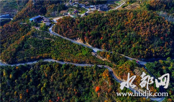 交通运输网跨越式发展,40年交通运输发展突飞猛进