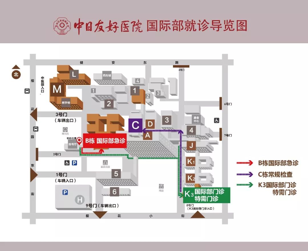 中日友好医院专家贾立群治愈癌症,中医贾立群真的很厉害吗