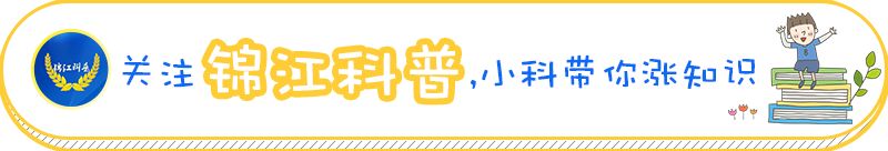 硬币为什么能漂浮在水面上的原因,硬币怎么可以漂浮到水面