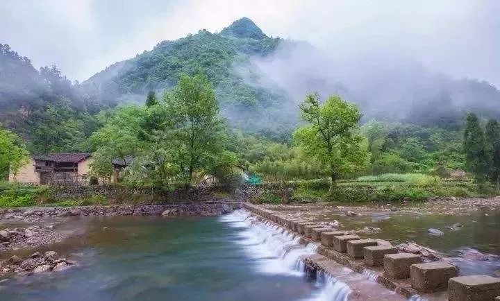 青田先行区发展,侨乡青田最近发展