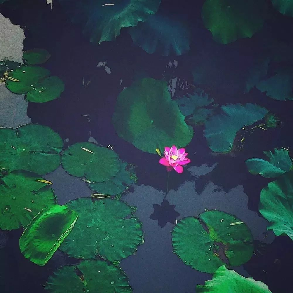 摄影学会了能拍什么,摄影到底应该拍什么