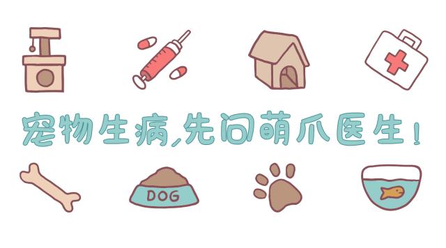 猫粮高价卖,狗粮猫粮清仓