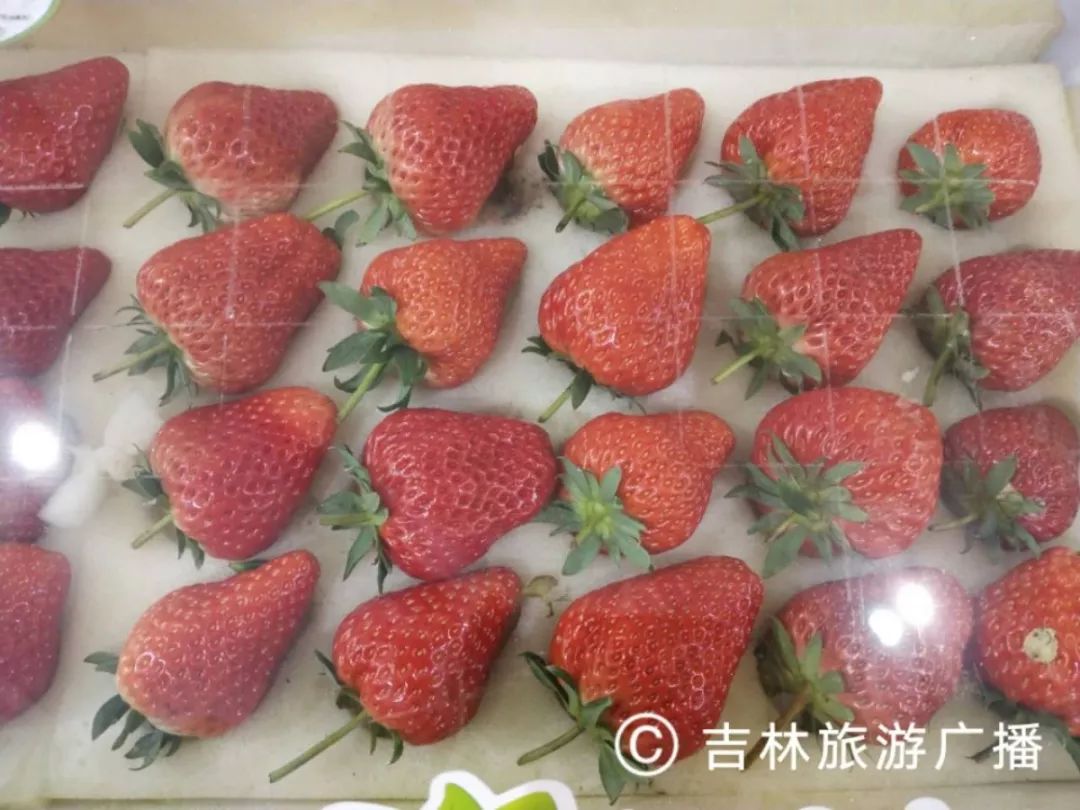 雪博会购物攻略大全,雪博会购物攻略