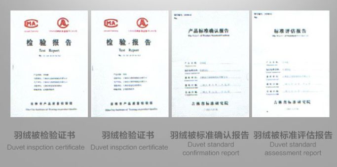 团｜《艾特熊和赛娜鼠》屡获国际大奖的温暖绘本+艺术儿童启蒙日历，爸爸陪娃的神器+用44只东北大白鹅，才攒出1床的鹅绒被