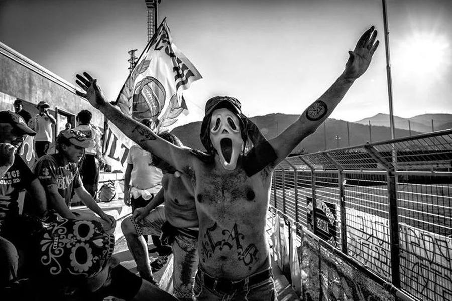 2018melonmusicawards颁奖典礼,2020国际摄影大赛露茜奖获奖名单