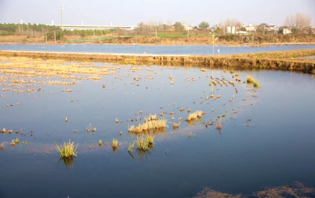 马鞍山当涂为什么富裕,马鞍山为什么越来越好