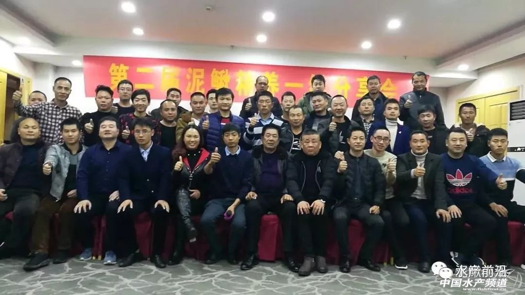 2023泥鳅塘头价格,今日泥鳅塘头最新价格