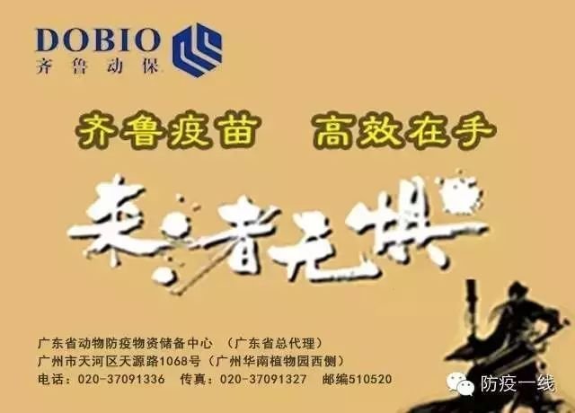 母猪屡配不孕的原因及解决方案,母猪屡配不孕症的治疗方法