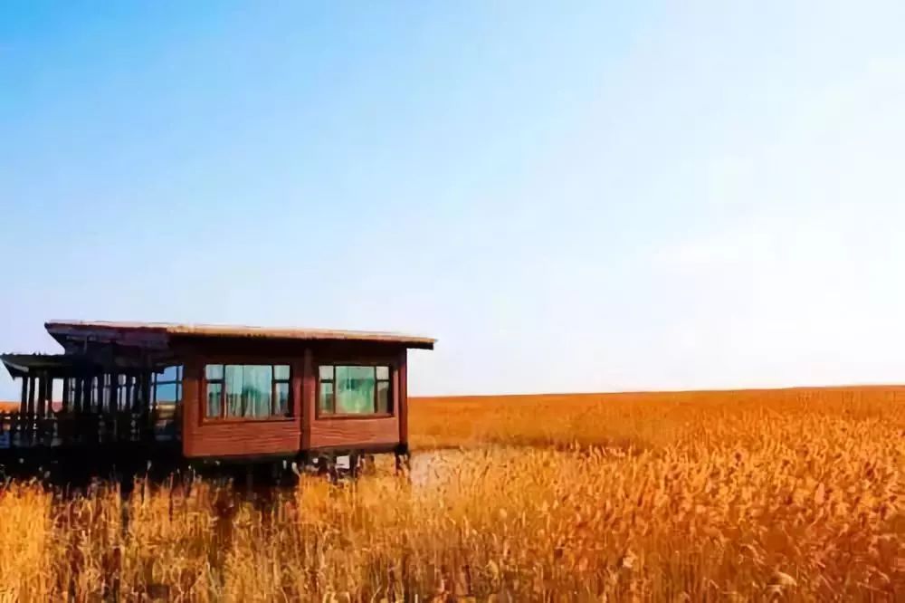冬天江浙沪一日游必去的景点,上海冬季旅游攻略