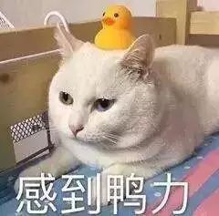 这个韩国人拿着5万韩币去了明洞，结果……