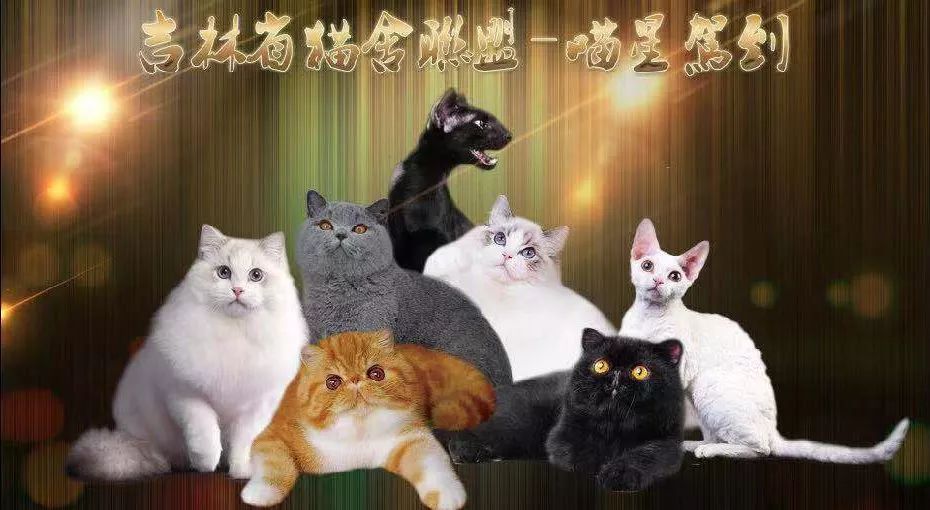 「笑傲江湖」来助阵,千台小米任性抽!万元大奖等你来!车城万达广场元旦狂欢!