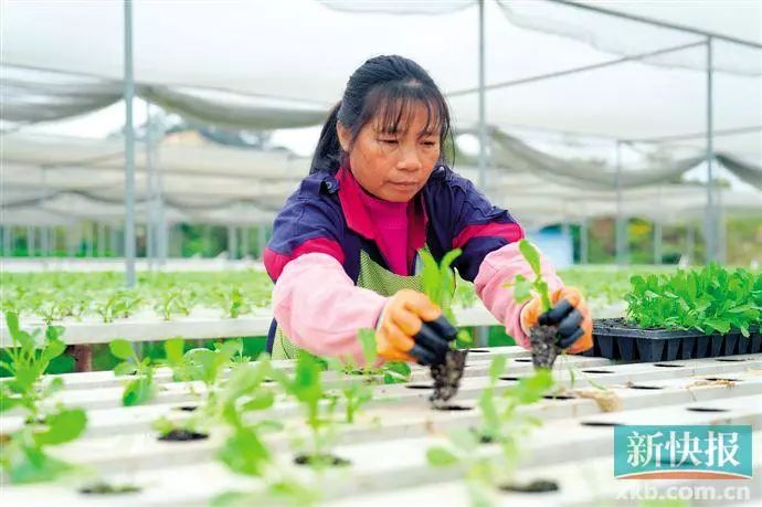 广州佛冈贫困村,广州荔湾帮扶清远连州