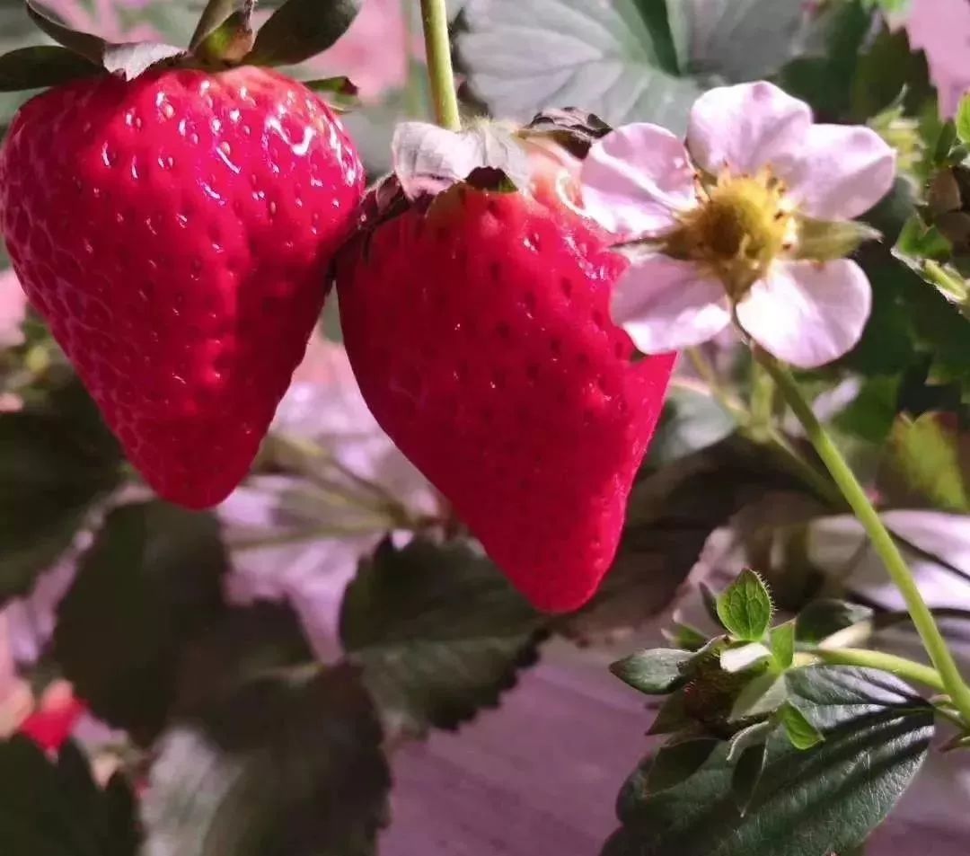 玩的地方推荐三天游,附近旅游攻略三天游