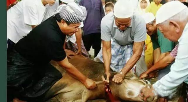 云南寻甸牛干巴做法,舌尖上的云南普洱茶