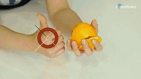 快速清理卫生间马桶异味,卫生间马桶倒什么水马桶没有异味