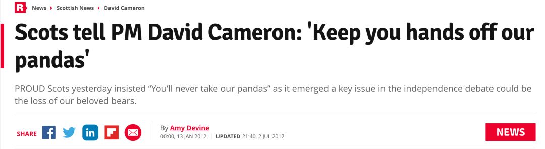 老外多爱猫咪,老外多爱中国