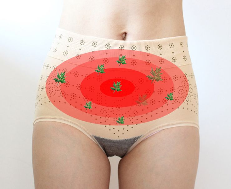 宫寒暖宫神器艾草,暖宫磁疗内裤女