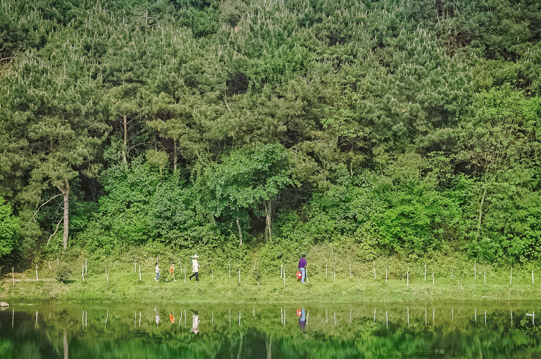 一些武汉的好消息,好消息湖北武汉