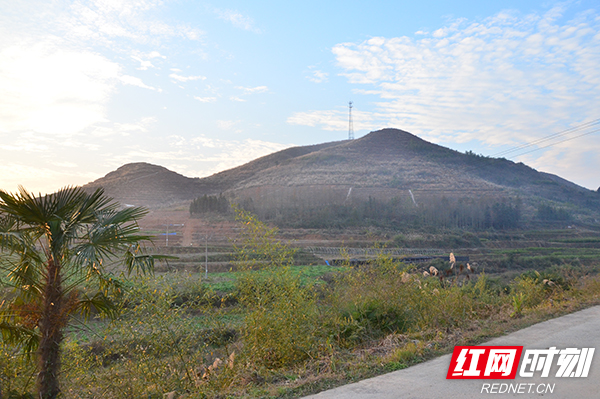 武冈市大甸镇：惠民举措落实民生改善当先