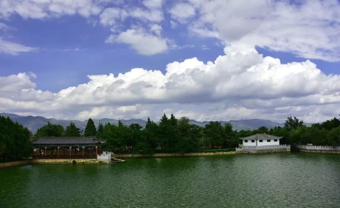 蒙自最新政策公告,蒙自最新规定