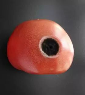 去除腐烂部分的果蔬还能吃吗?