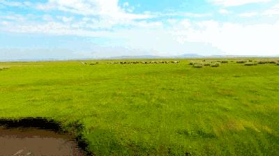 我也想瘦啊！可内蒙古的“食”力它不允许啊……