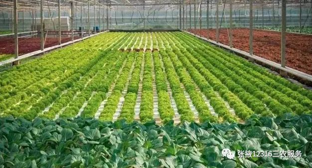 冬天温室大棚保暖的十种方法,温室大棚怎么增温