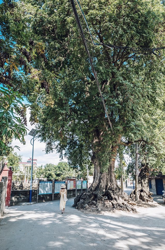 三亚崖州旅游攻略最新,三亚攻略自由行崖州
