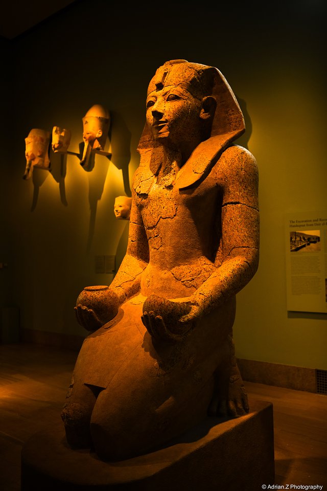 疯狂美国,疯狂美国完整视频