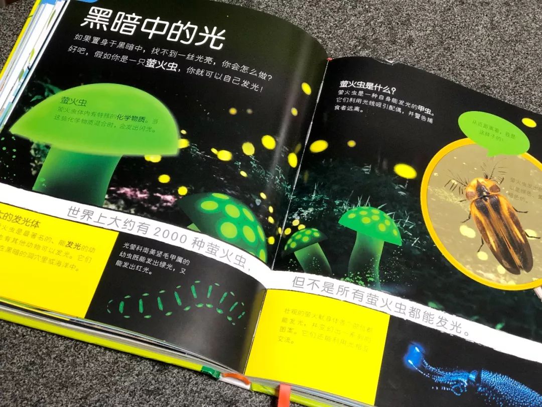 现在的孩子真是不知道怎么想的,现在的孩子真的是脑洞大开