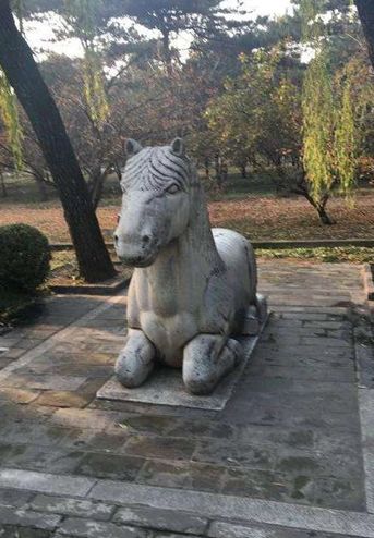 小寒丨穿越千年伴君共乘——丝绸之路上的马文化