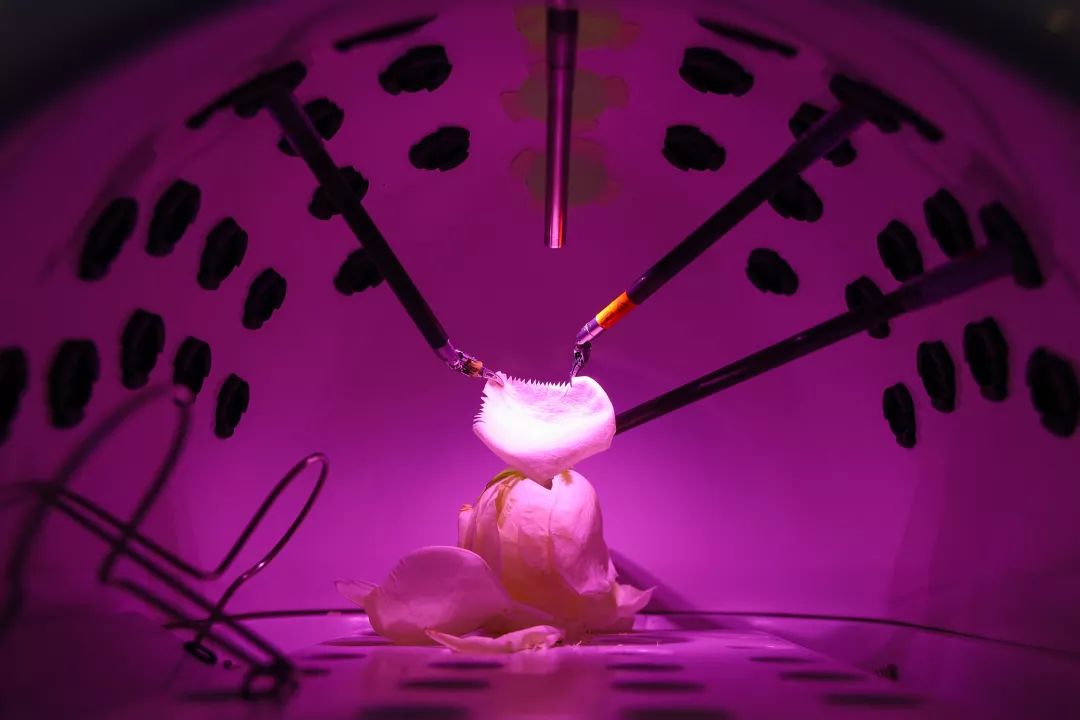 新华社年度照片,2023年新华社年度最佳照片