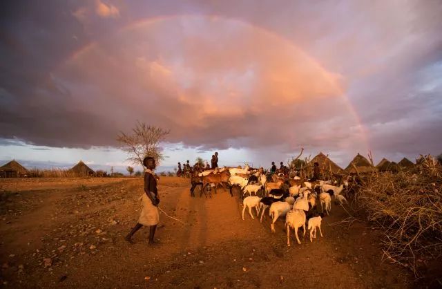 这就是中国2018年,2018新华社国际年度照片
