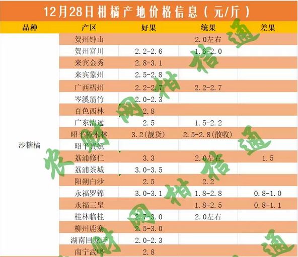 沙糖桔十元八斤,沙糖橘滞销