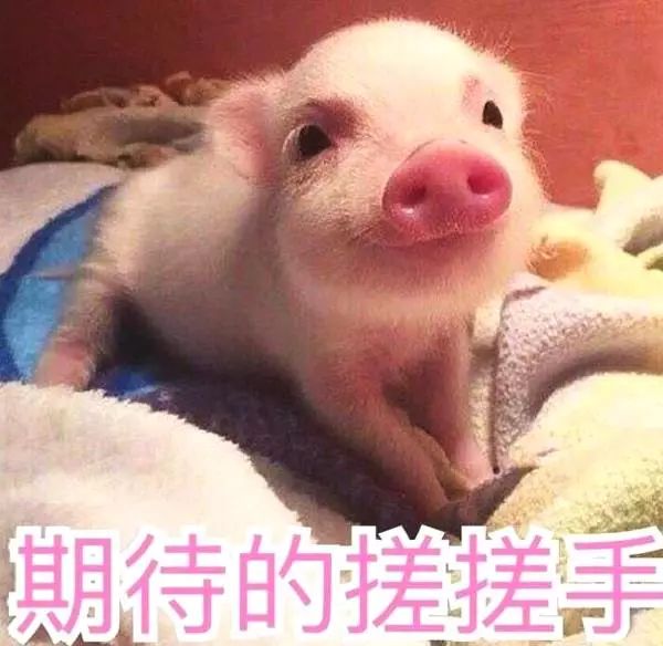 一定要收藏的十大免费景点排行榜,值得一游的免费景点