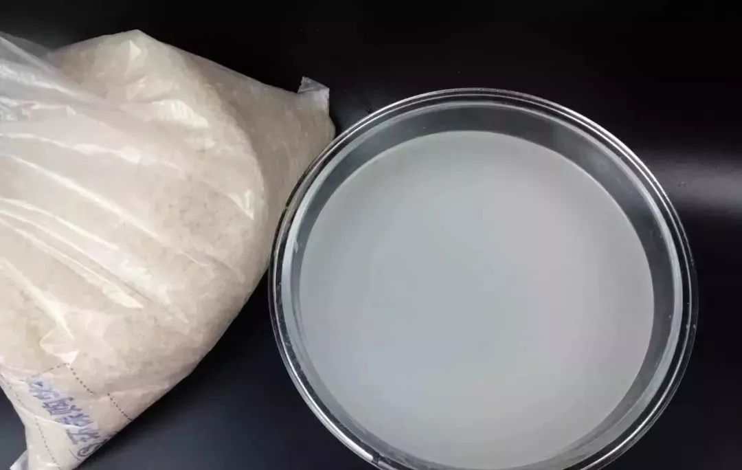 家里盆栽洋葱开花,洋葱盆栽开花