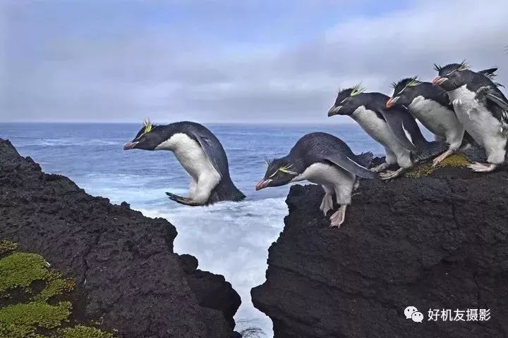 荷赛大奖作品,荷赛2022年获奖作品