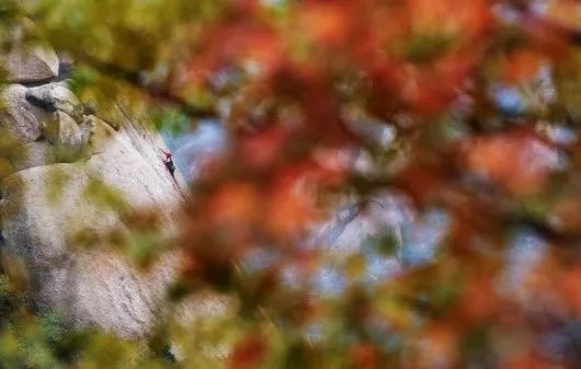 回顾2019年的体坛,铭记体坛2014瞬间