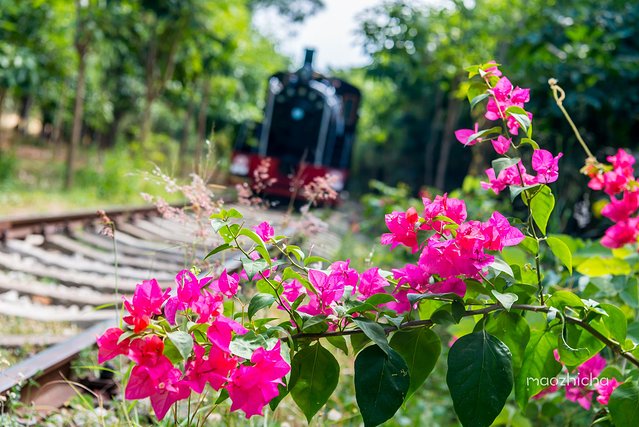 三亚五天四晚划算还是自由行划算,五天四晚三亚省钱攻略